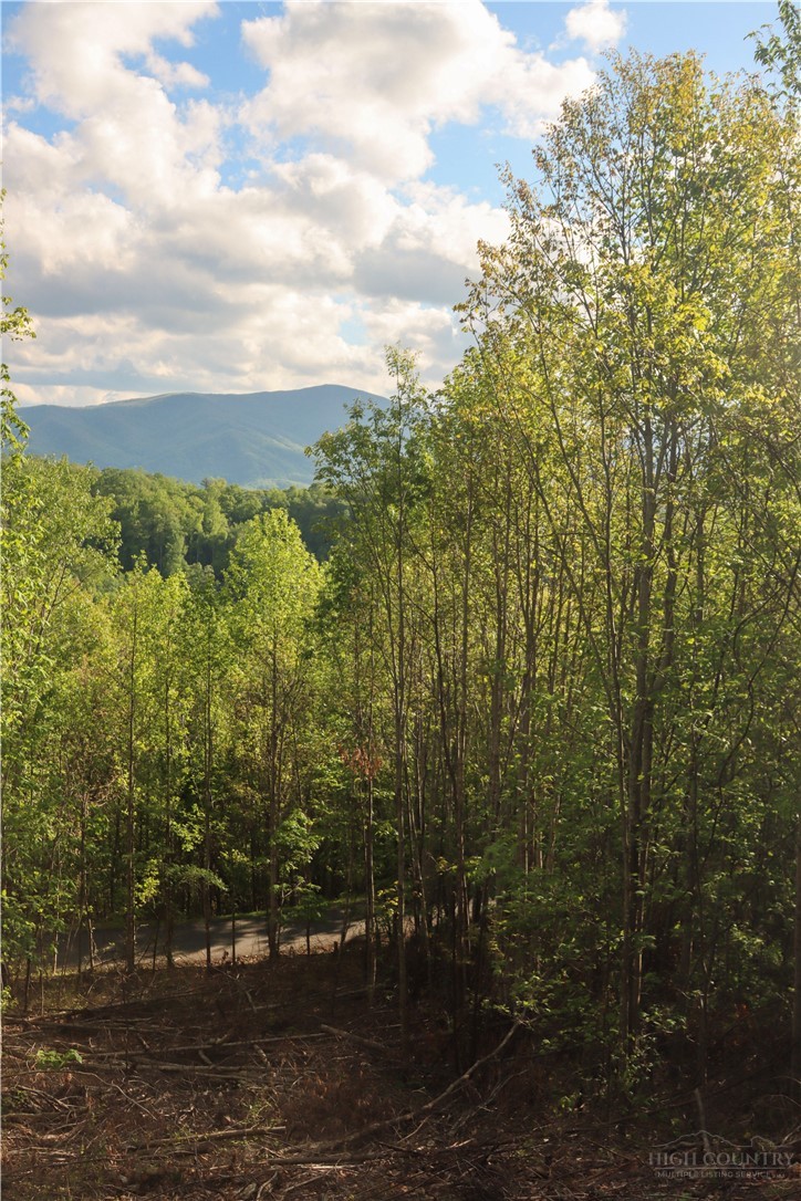 Lot 25 Tbd Lake View Drive Property Photo 1