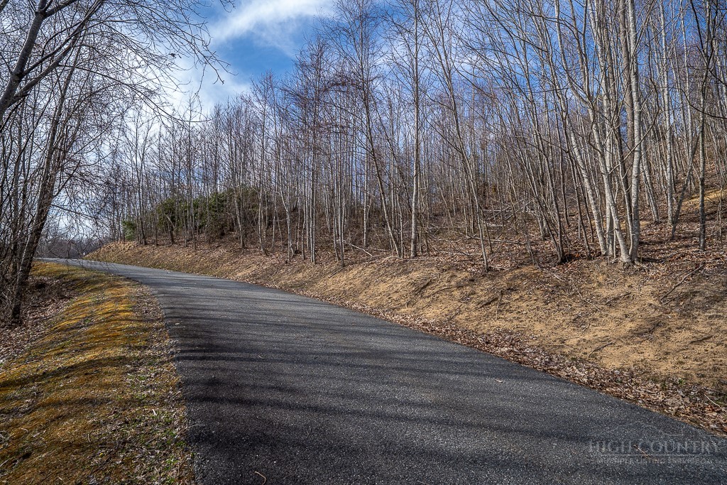 Lot 25 Tbd Lake View Drive Property Photo 2