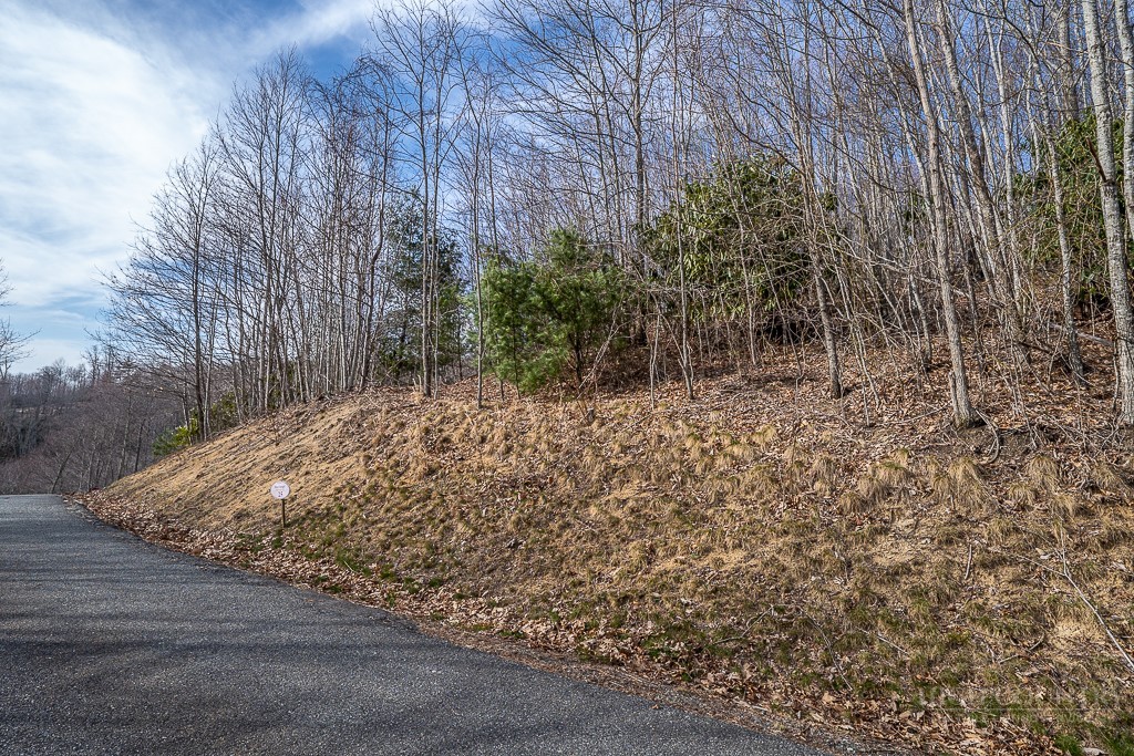Lot 25 Tbd Lake View Drive Property Photo 3