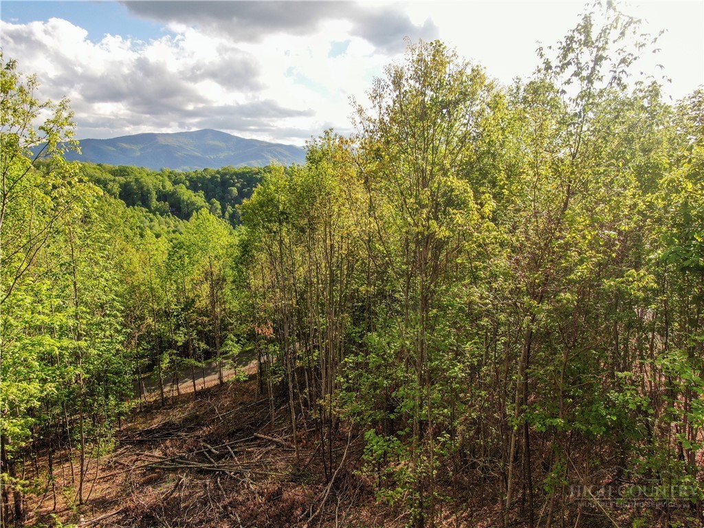 Lot 25 Tbd Lake View Drive Property Photo 4