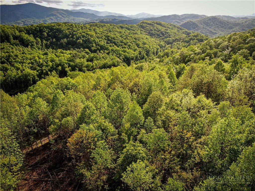 Lot 25 Tbd Lake View Drive Property Photo 6