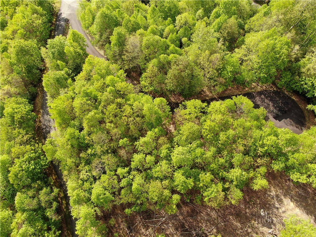 Lot 25 Tbd Lake View Drive Property Photo 7