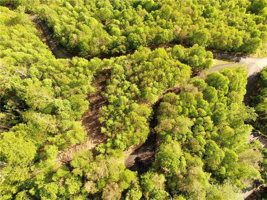 Lot 25 Tbd Lake View Drive Property Photo 8