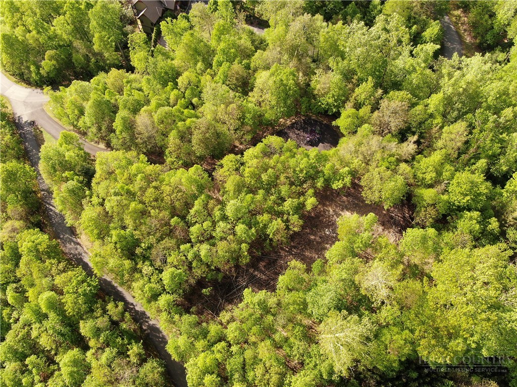 Lot 25 Tbd Lake View Drive Property Photo 9