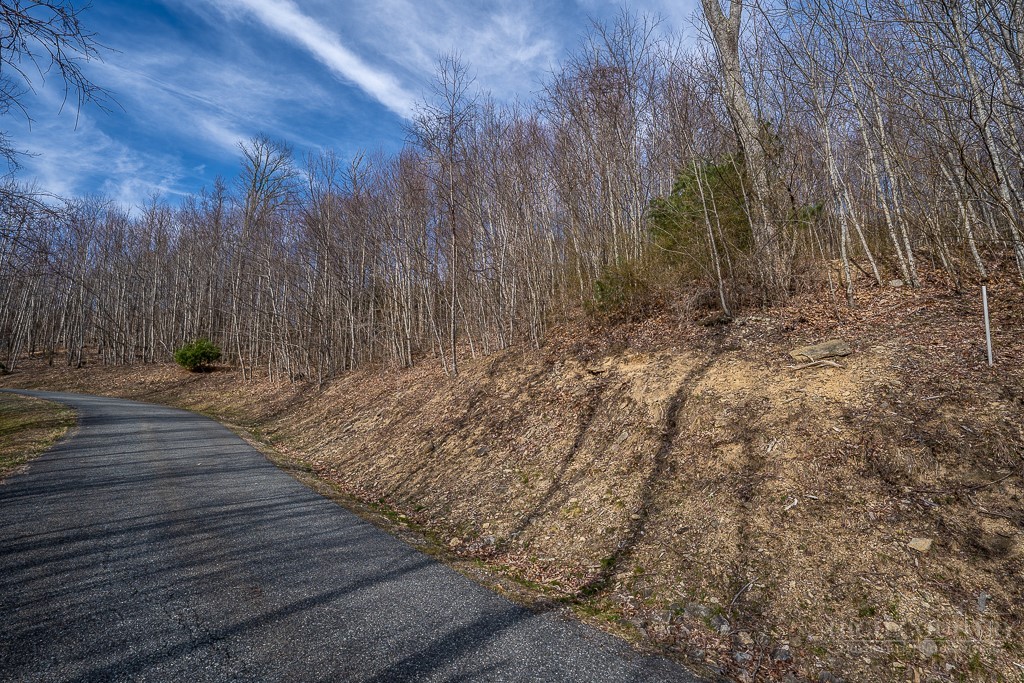 Lot 25 Tbd Lake View Drive Property Photo 13
