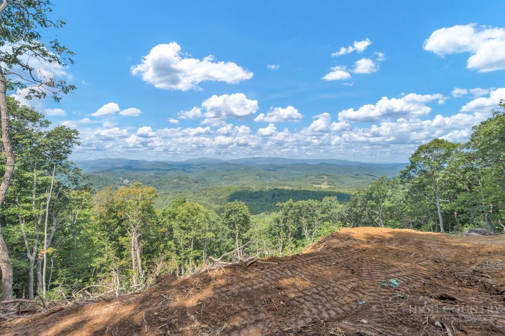 Lot 19 Olde Stone Drive Property Photo 1
