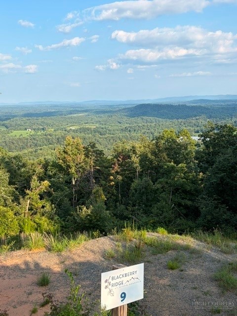 Lot # 9 Widow Mountain Drive Property Photo 1