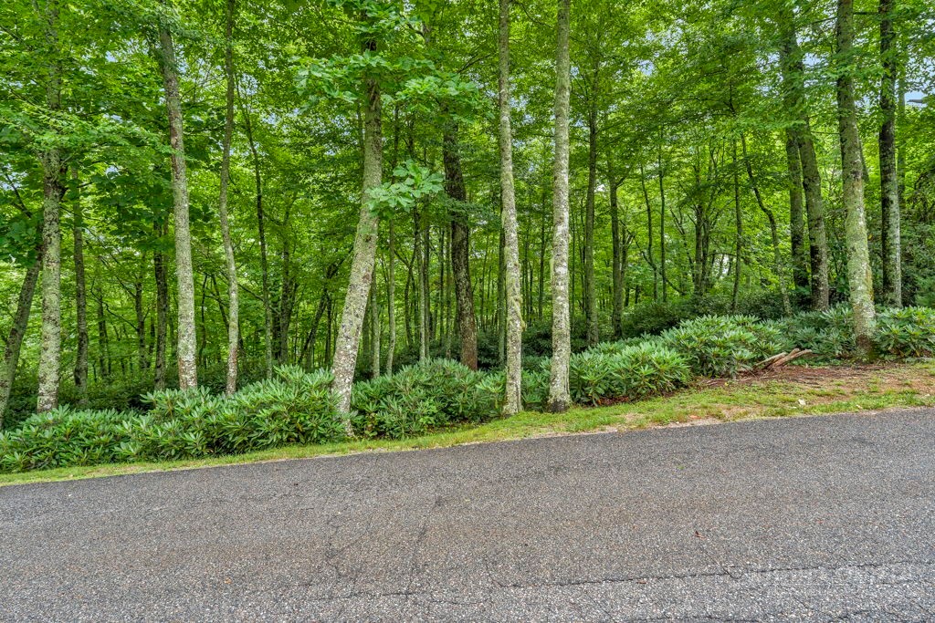 Lot 408 Tbd Firethorn Trail Property Photo 1