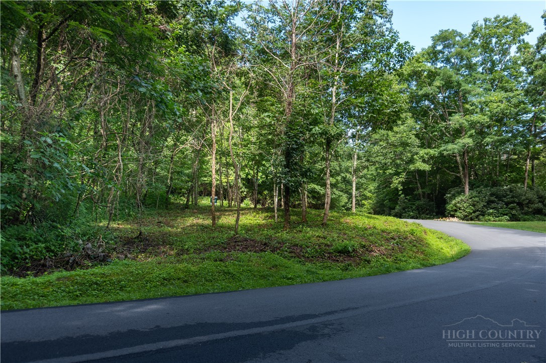 Lot 13 Hemlock Ridge Road Property Photo 1