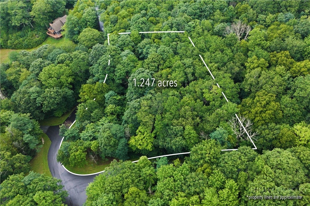 Lot 13 Hemlock Ridge Road Property Photo 2