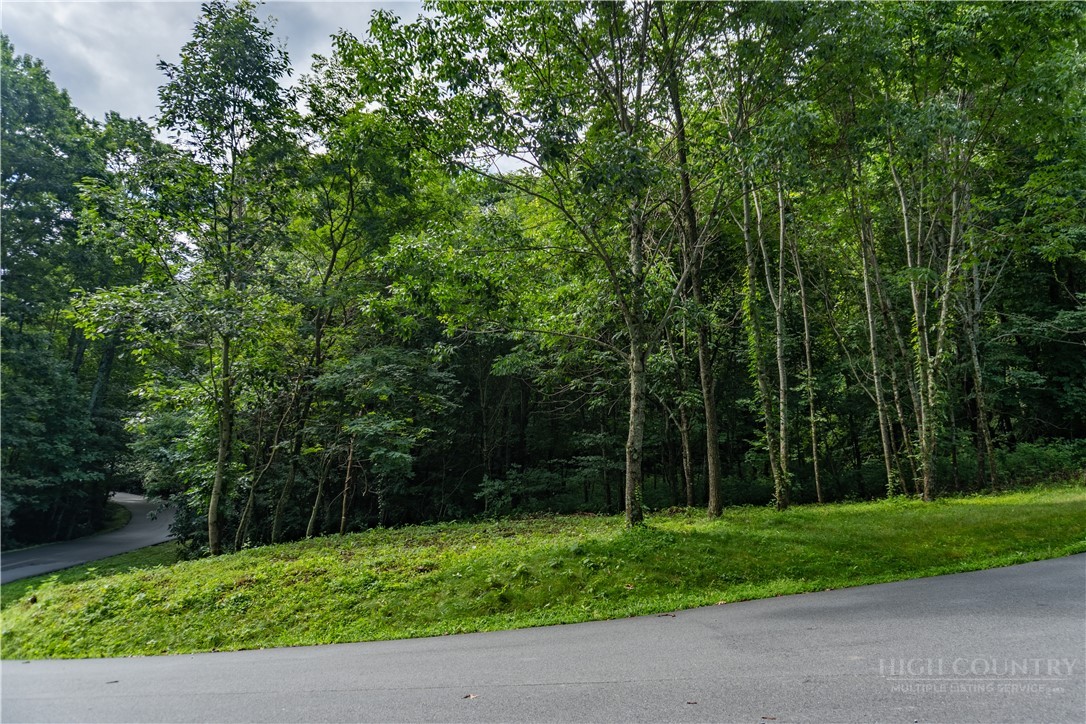 Lot 13 Hemlock Ridge Road Property Photo 6