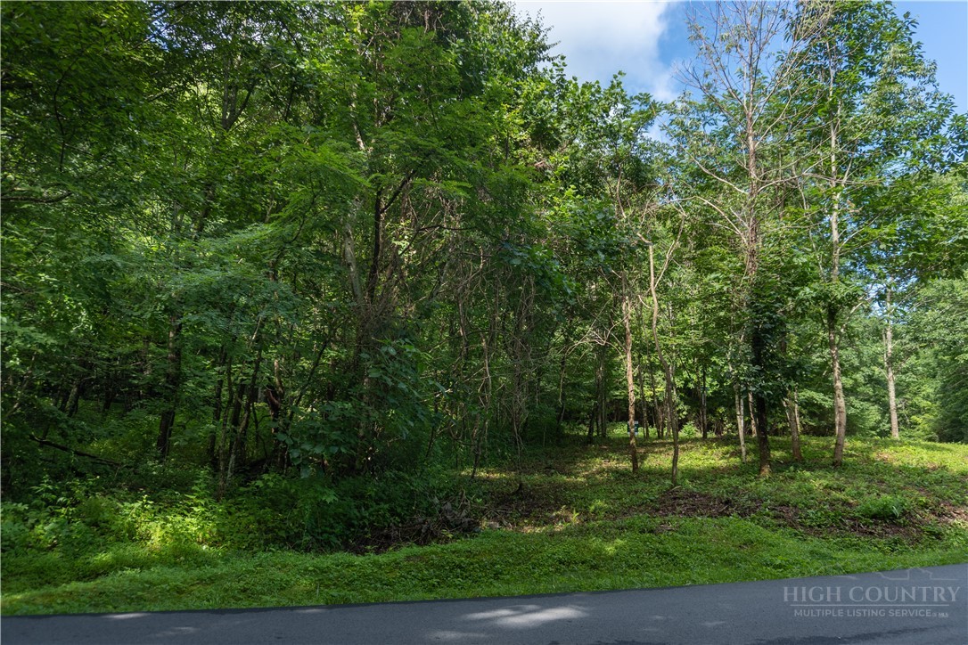 Lot 13 Hemlock Ridge Road Property Photo 7