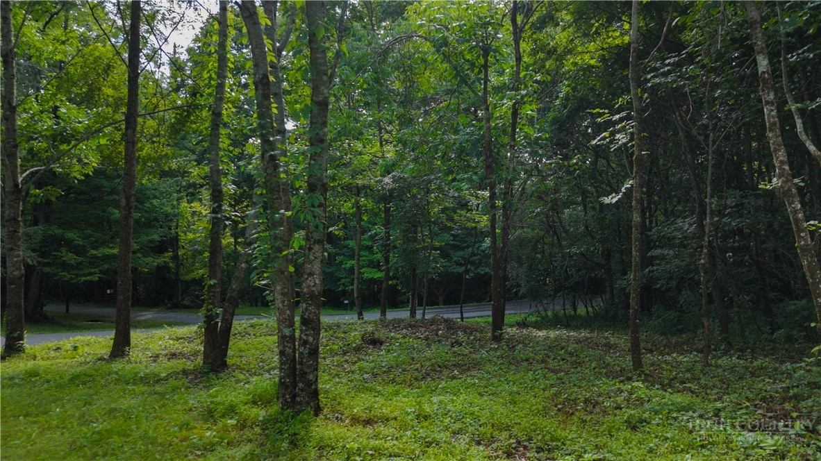 Lot 13 Hemlock Ridge Road Property Photo 8
