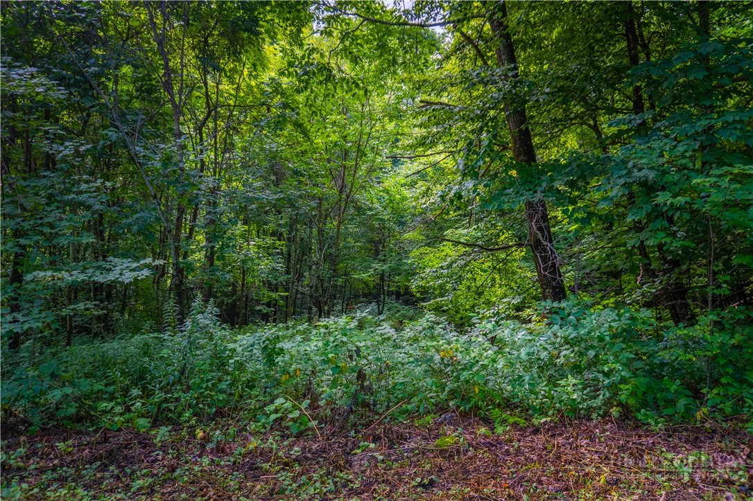 Lot 13 Hemlock Ridge Road Property Photo 9