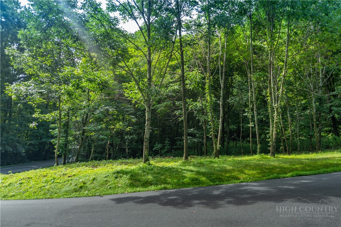 Lot 13 Hemlock Ridge Road Property Photo 10