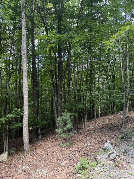 141 Sassafrass Road Property Photo 1