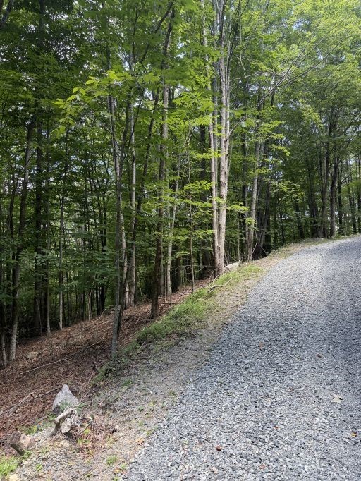 141 Sassafrass Road Property Photo 2