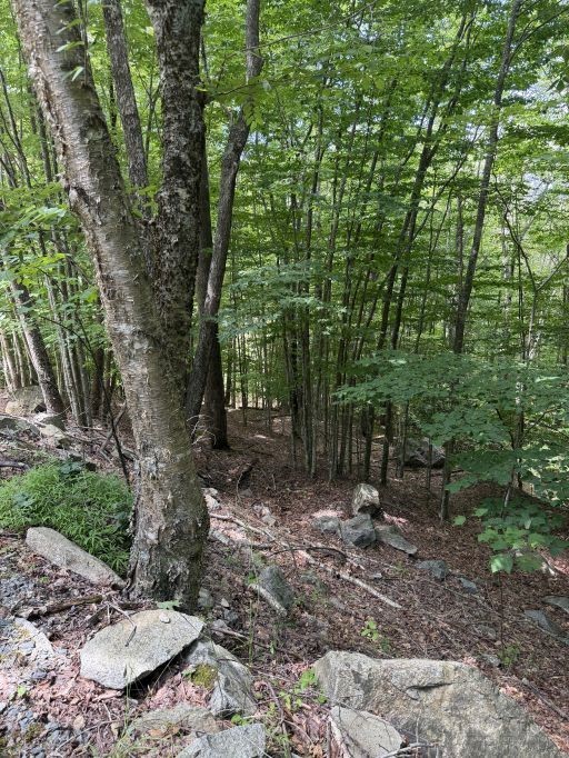 141 Sassafrass Road Property Photo 4