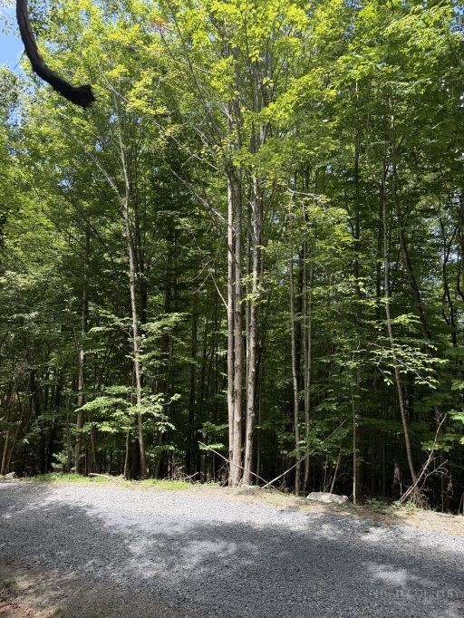 141 Sassafrass Road Property Photo 6
