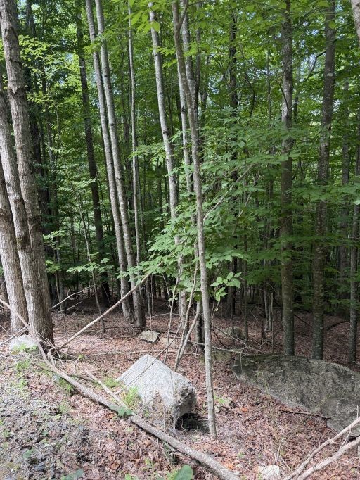 141 Sassafrass Road Property Photo 7