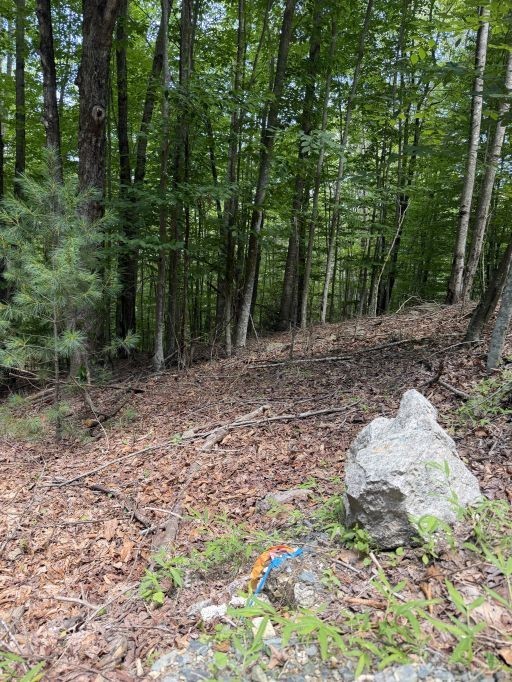 141 Sassafrass Road Property Photo 9