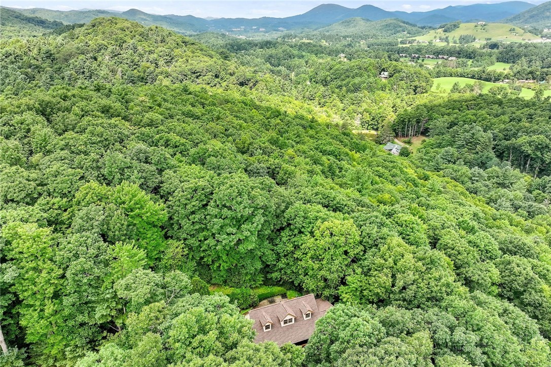 376 Deerfield Forest Parkway Property Photo 2