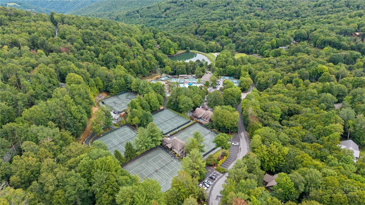 100 Grassy Gap Loop Road Property Photo 3