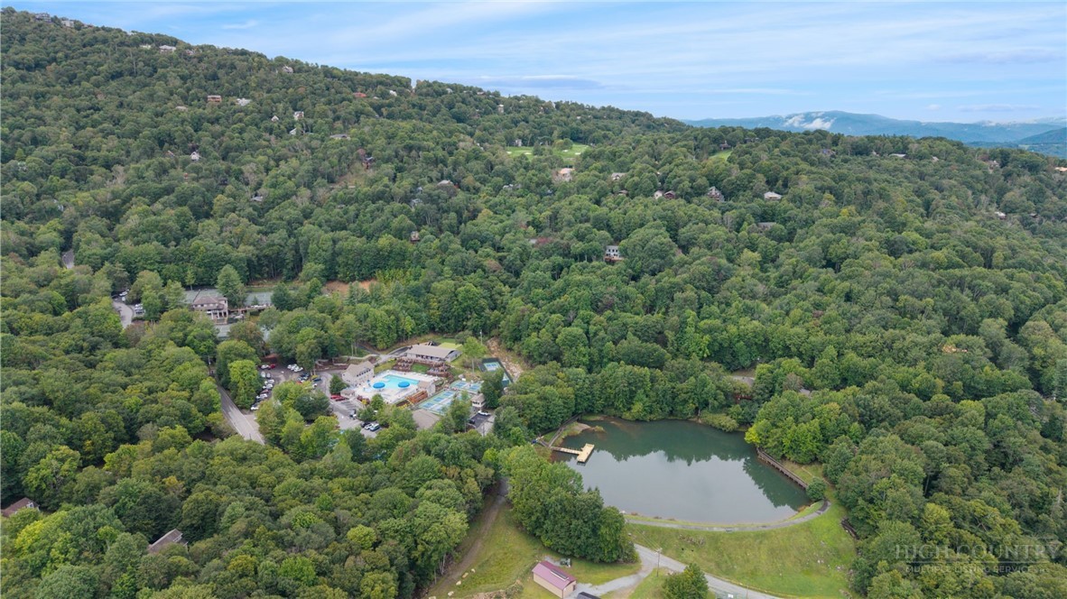 100 Grassy Gap Loop Road Property Photo 4