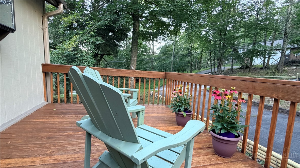 100 Grassy Gap Loop Road Property Photo 6