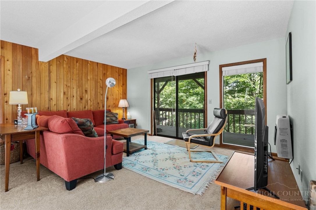 100 Grassy Gap Loop Road Property Photo 18