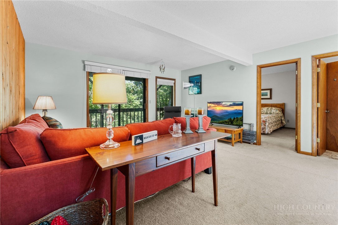 100 Grassy Gap Loop Road Property Photo 19