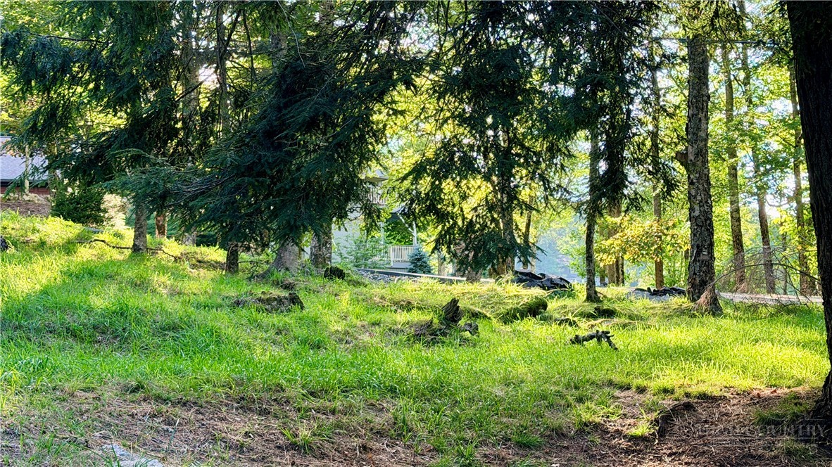 100 Grassy Gap Loop Road Property Photo 33