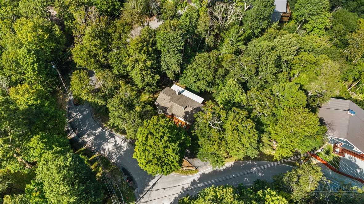 100 Grassy Gap Loop Road Property Photo 34