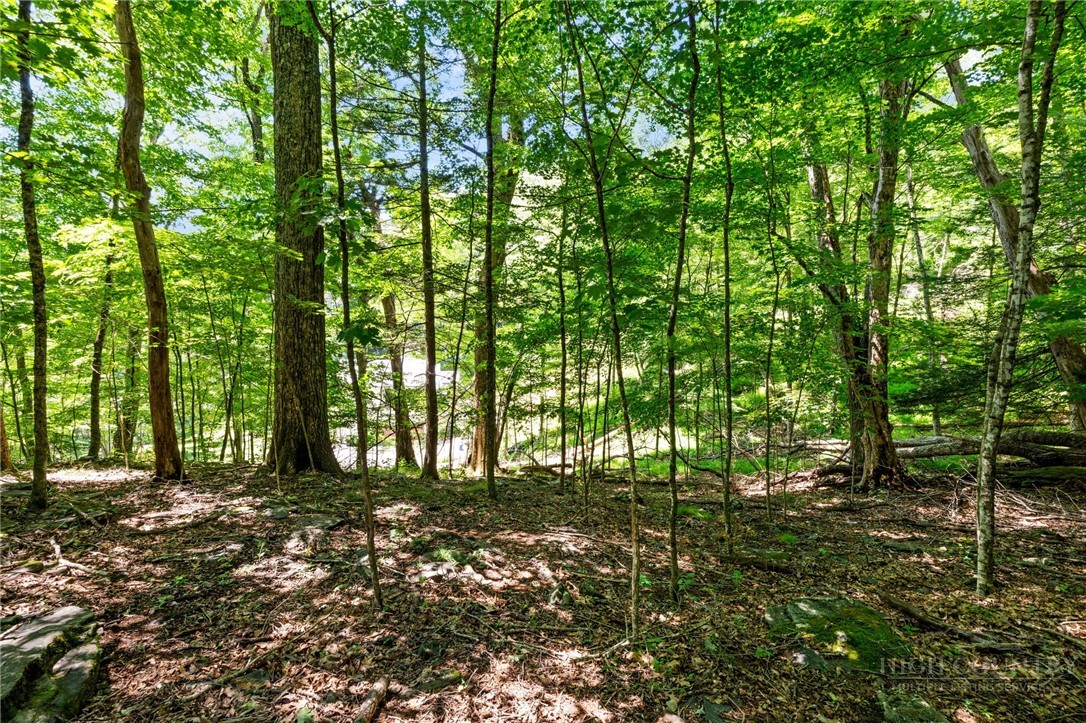 Lot 50 Fire Pink Road Property Photo 1