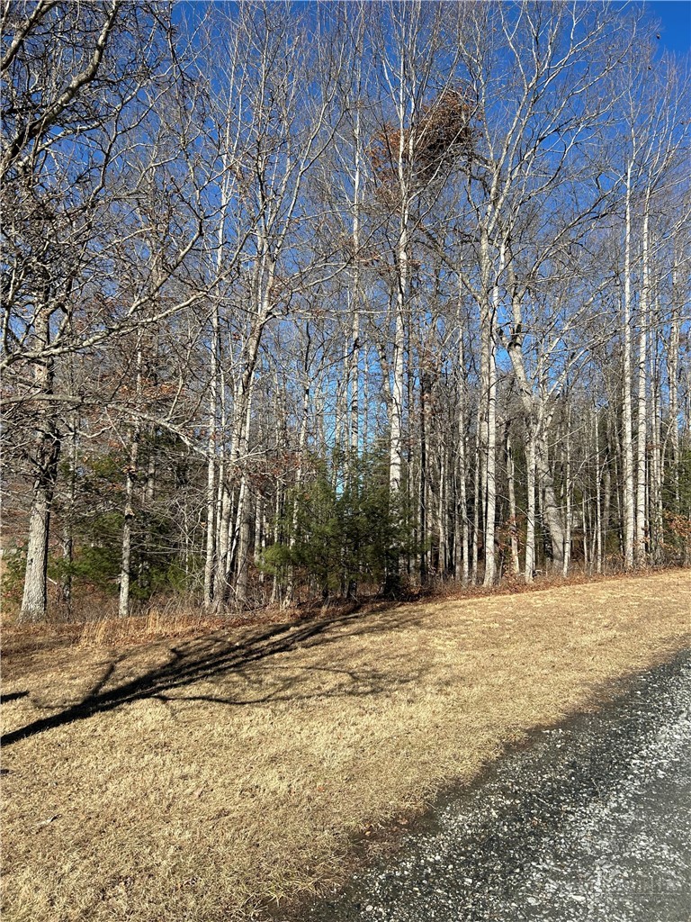 Lot 23 Bear Den Road Property Photo 1