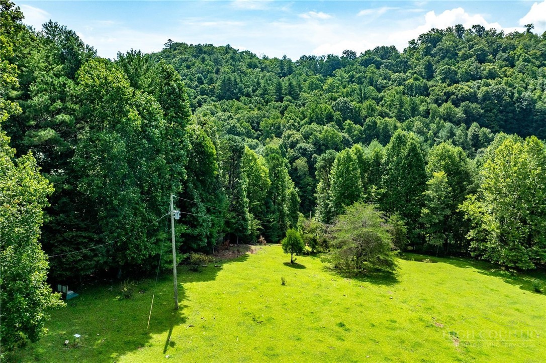 Tbd Sink Valley Road Property Photo 6