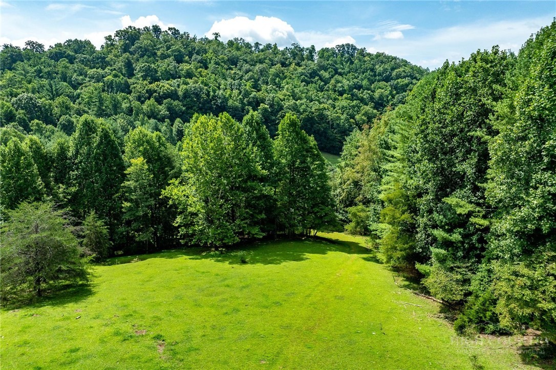 Tbd Sink Valley Road Property Photo 7