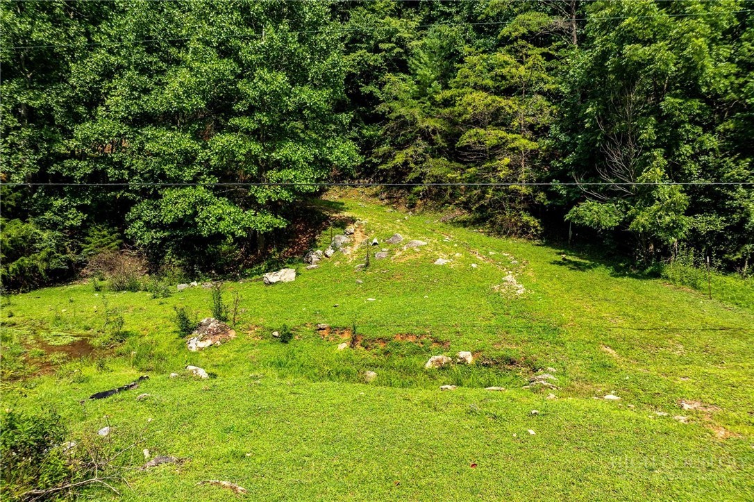 Tbd Sink Valley Road Property Photo 9