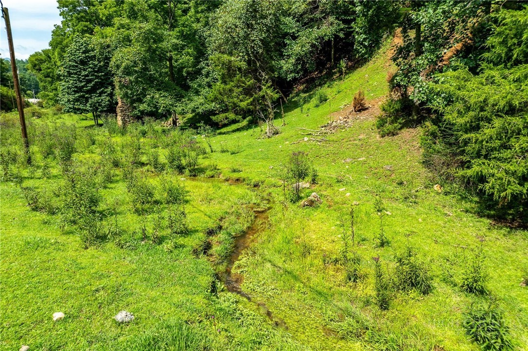 Tbd Sink Valley Road Property Photo 11