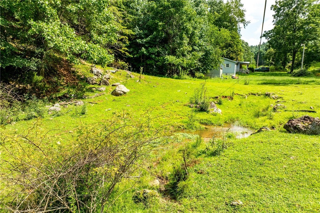 Tbd Sink Valley Road Property Photo 12