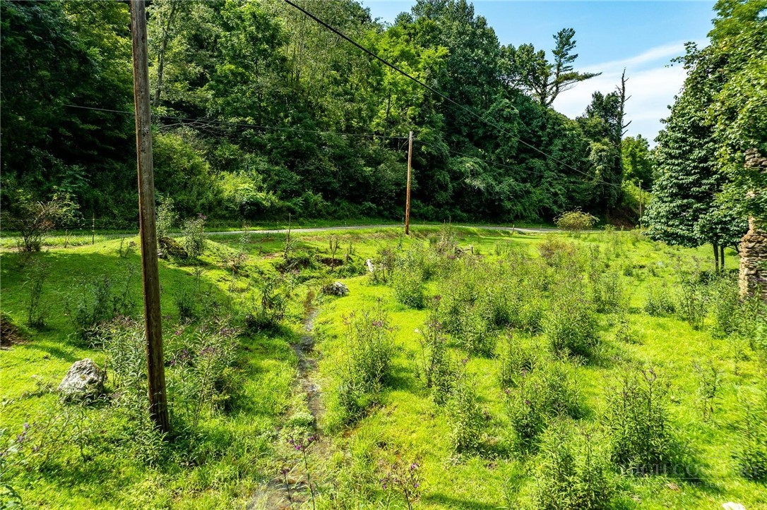 Tbd Sink Valley Road Property Photo 14