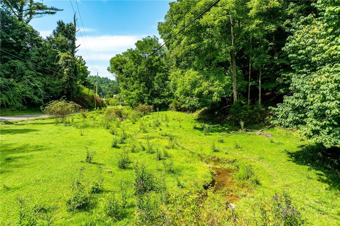 Tbd Sink Valley Road Property Photo 15