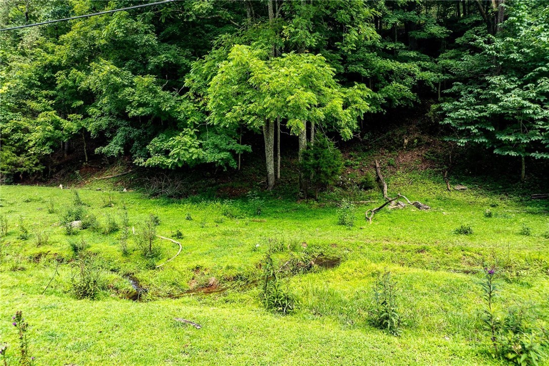 Tbd Sink Valley Road Property Photo 16