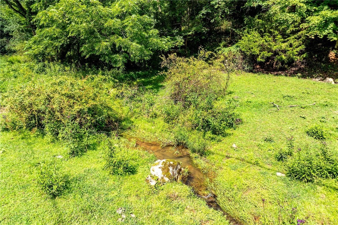 Tbd Sink Valley Road Property Photo 17