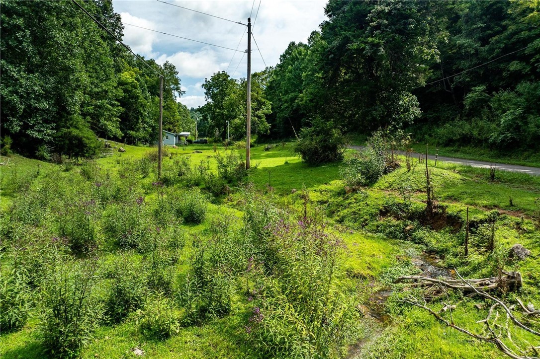 Tbd Sink Valley Road Property Photo 18