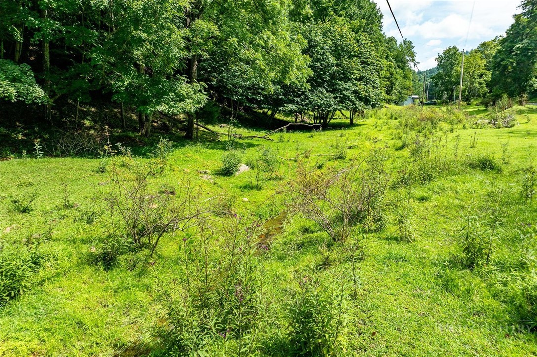Tbd Sink Valley Road Property Photo 19