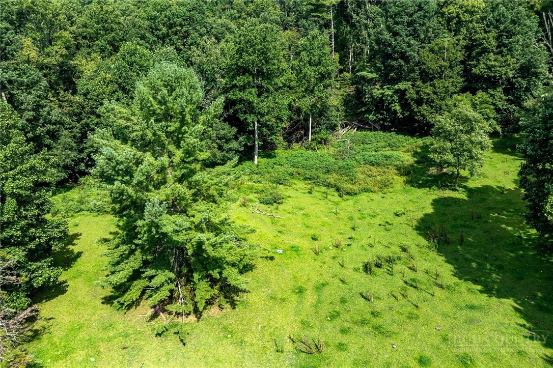 Tbd Sink Valley Road Property Photo 22