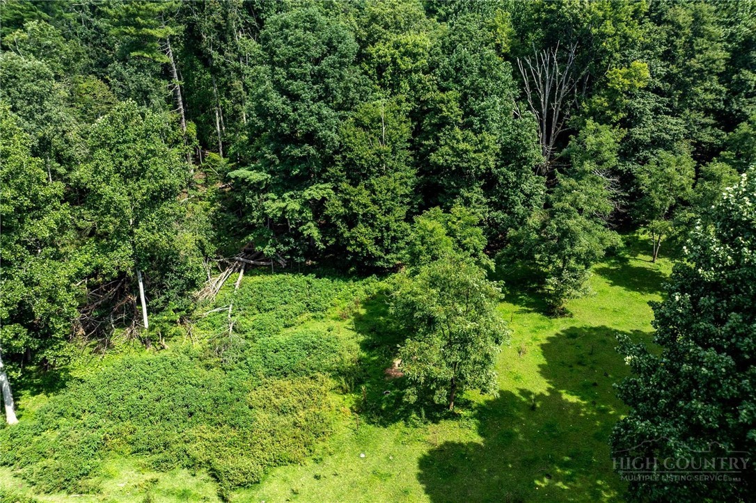 Tbd Sink Valley Road Property Photo 23