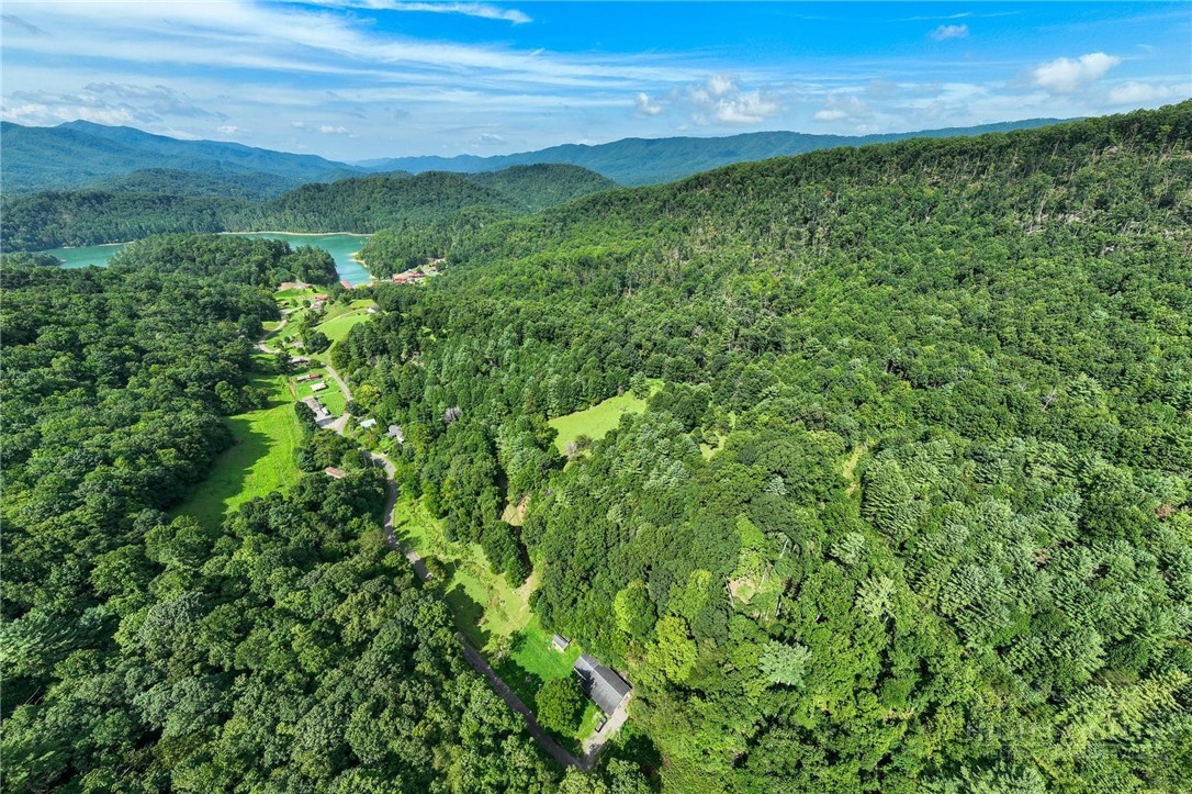 Tbd Sink Valley Road Property Photo 27