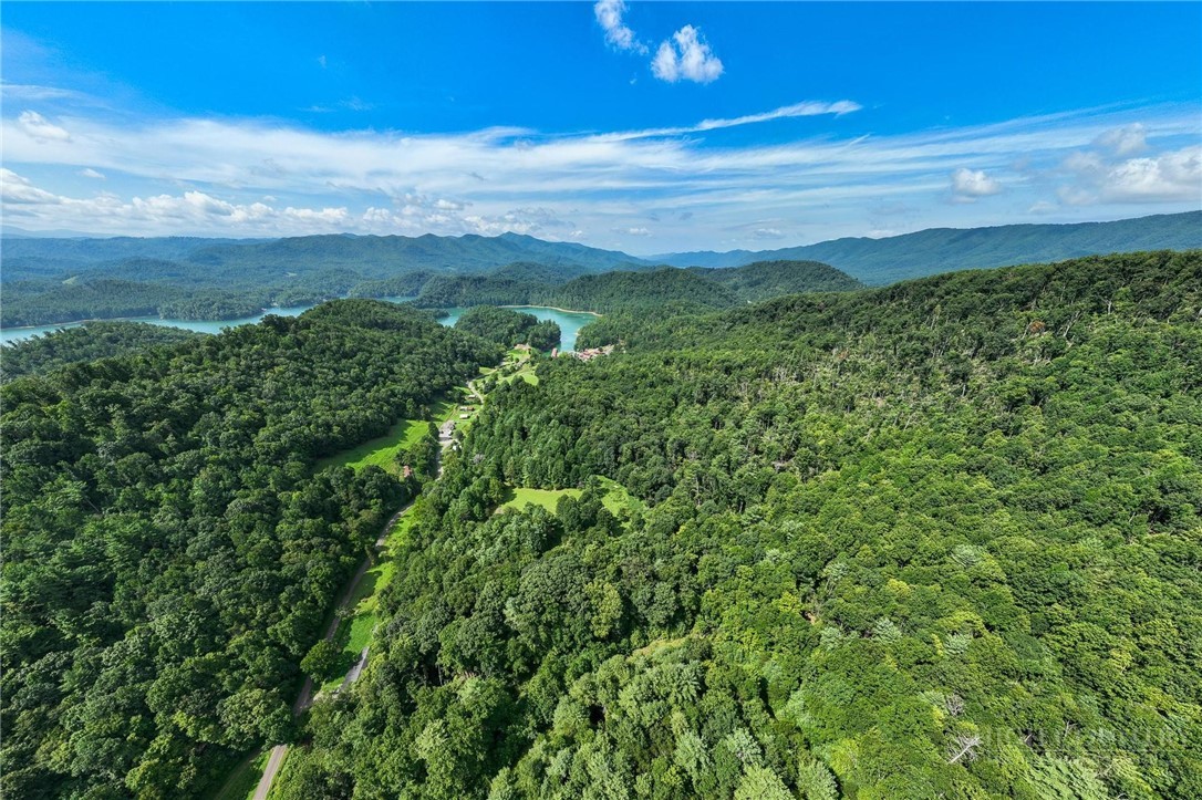 Tbd Sink Valley Road Property Photo 28